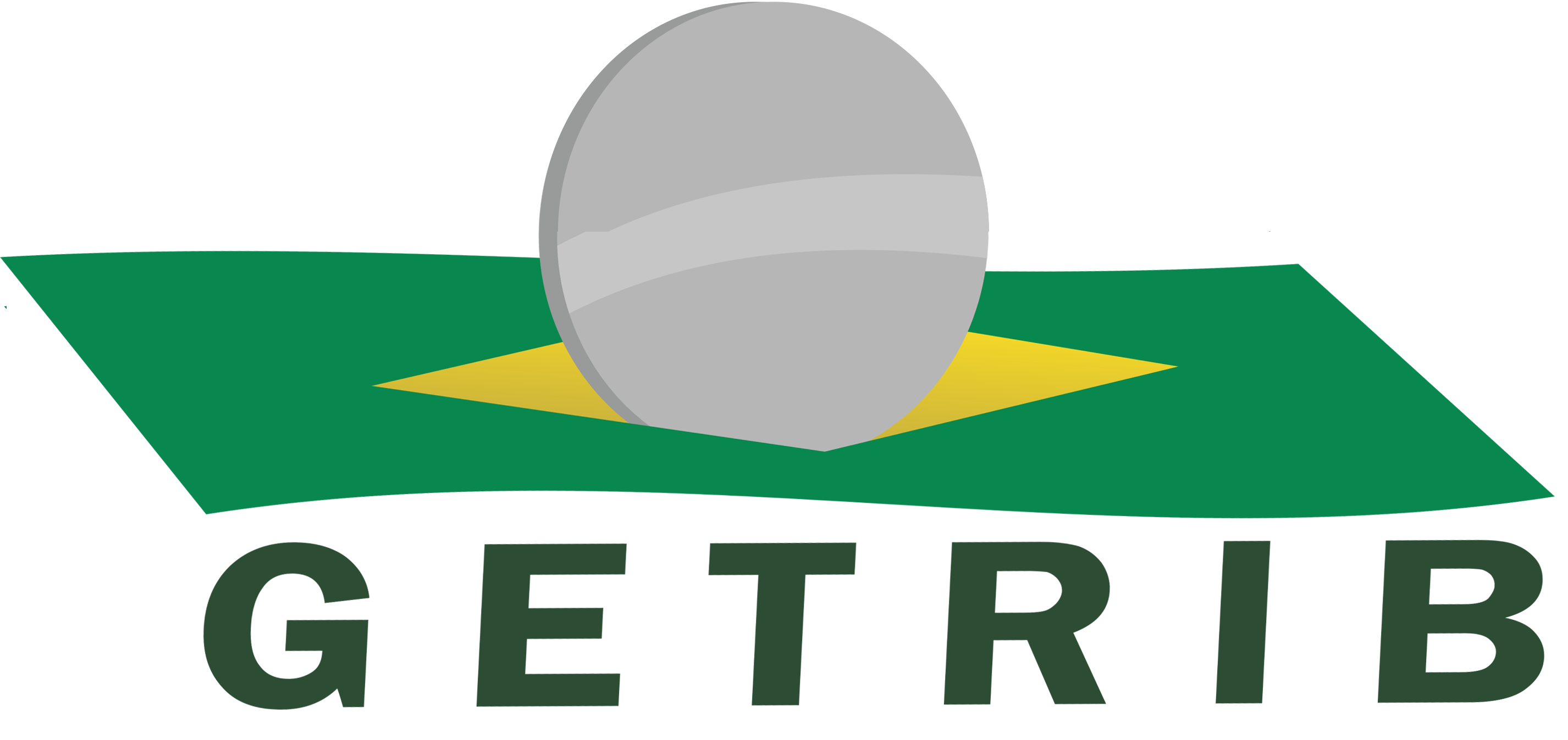 logo (1).png